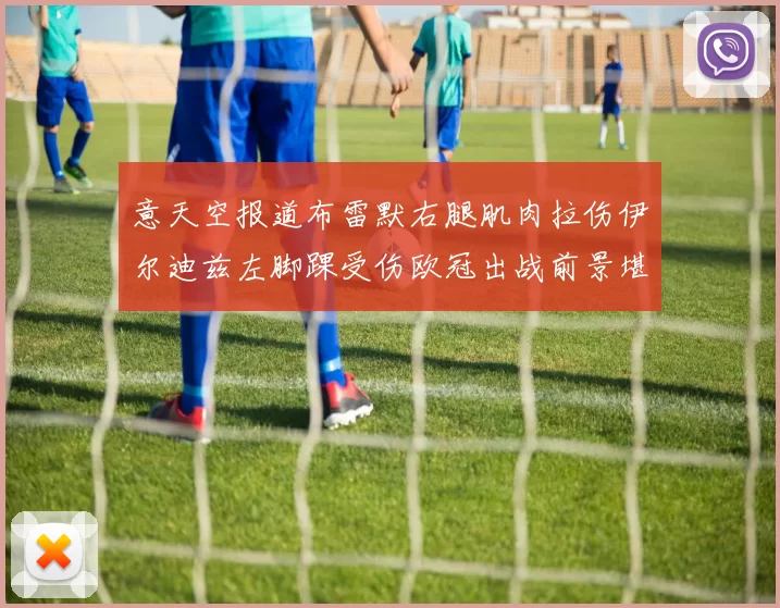 意天空报道布雷默右腿肌肉拉伤伊尔迪兹左脚踝受伤欧冠出战前景堪忧