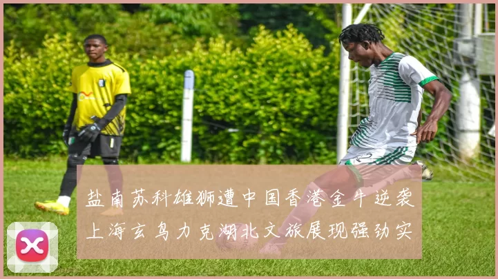 盐南苏科雄狮遭中国香港金牛逆袭上海玄鸟力克湖北文旅展现强劲实力